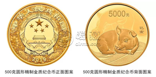 2019金币猪纪念币价格  2019金币猪纪念币最新价格