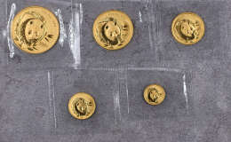 2003年熊猫金币回收价格 2003年熊猫金币值多少