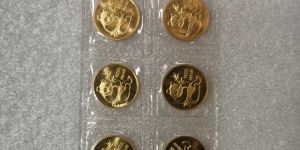 1999年1公斤熊猫金币价格与收藏价值