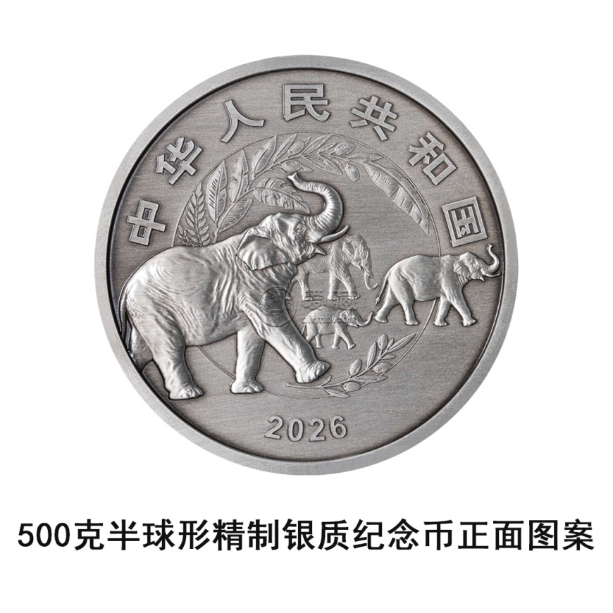2026年4月27日发行守护地球家园金银纪念币一套