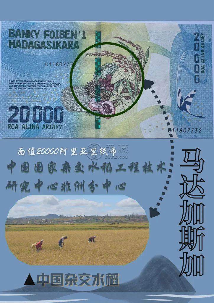 钱币上的“中国元素”，记录并续写着美好的“中非故事”