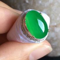 老坑冰种正阳绿色13-8.8-5mm