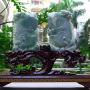 老坑水润春彩荷花鱼翡翠摆件
