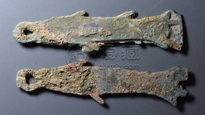 先秦时期鱼币值多少钱 藏品解读