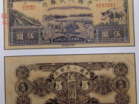 1949年5元水牛纸币为何如此珍贵