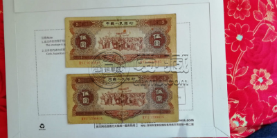 1956年海鸥水印5元值多少钱 1956年海鸥水印5元价格