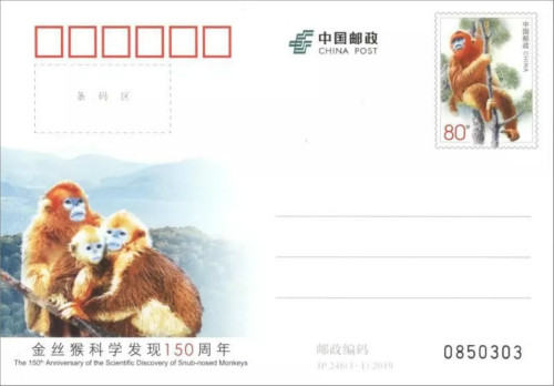 4月27日中国邮政将发行《金丝猴科学发现150周年》纪念邮资明信片