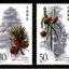 1992-3《杉树》特种邮票