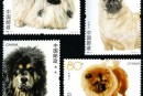 2006-6 《犬》特种邮票