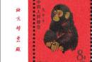 第一轮生肖邮票80年猴票的市场行情