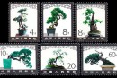 T61 盆景艺术邮票