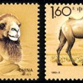 1993-3 《野骆驼》特种邮票