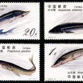 1994-3 《鲟》特种邮票