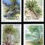 1996-7 《苏铁》特种邮票