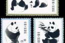 特59 熊猫