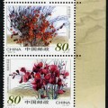 2002-14 《沙漠植物》特种邮票