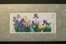 T72M 药用植物（第二组）（小型张）邮票收藏价值