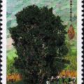 1997-5 《茶》特种邮票