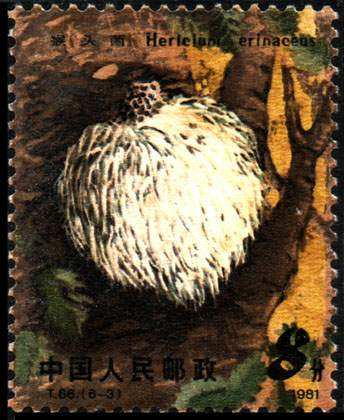T66 《食用菌》特种邮票