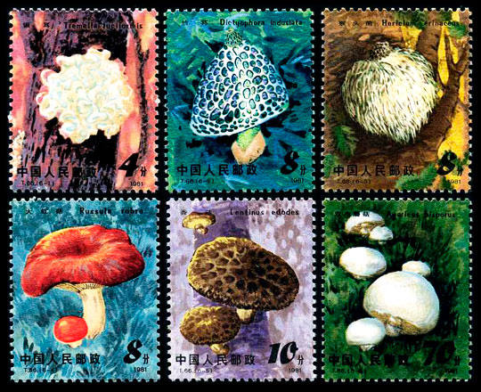 T66 《食用菌》特种邮票