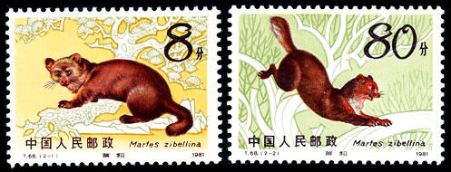 T68.紫貂特种邮票