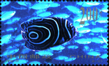 1998-29 《海底世界·珊瑚礁观赏鱼》小全张--第22届万国邮政联盟大会暨中国1999世界集邮展览