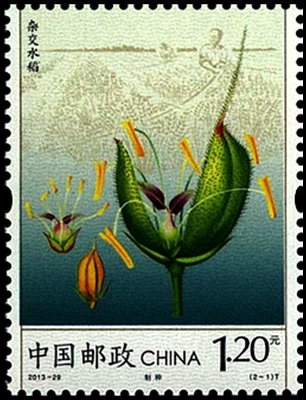 纪念中国杂交水稻40年来取得的成就,《杂交水稻》特种邮票欣赏 纪念中国杂交水稻40年来取得的成就,《杂交水稻》特种邮票欣赏