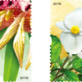 港澳台邮讯：香港邮政8月17日将发行《香港珍稀植物》邮票