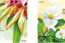 港澳台邮讯：香港邮政8月17日将发行《香港珍稀植物》邮票
