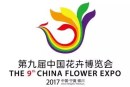 新邮信息：中国邮政将发行《第九届中国花卉博览会》纪念邮资明信片