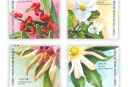 香港邮政发行的《香港珍稀植物》邮票图集欣赏