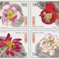 新邮背景：澳门邮政9号发行的莲花邮票