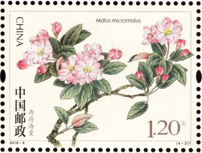 新邮背景：《海棠花》特种邮票
