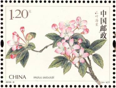 新邮背景：《海棠花》特种邮票