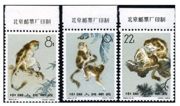 特60 金丝猴