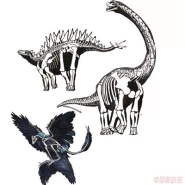 陈静芝：透过《中国恐龙》邮票 窥探中生代霸主 