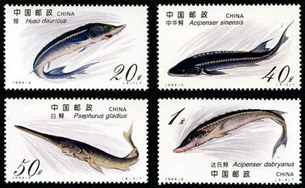 1994-3 《鲟》特种邮票