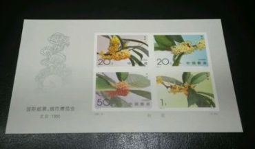 桂花有齿小型张是长线投资佳品