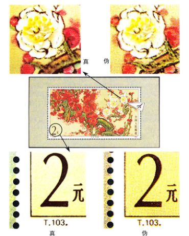 如何鉴别真假T.103M《梅花》小型张？