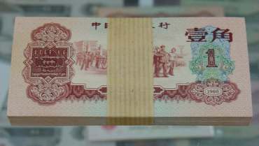 枣红一角最新价格2018 枣红一角图片