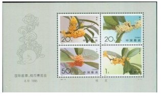 桂花有齿小型张邮票价格适合收藏