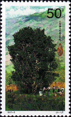 1997-5 《茶》特种邮票