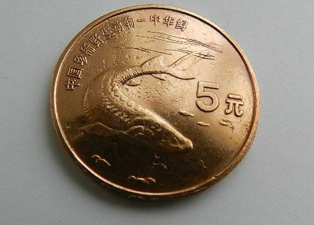 由中华鲟谈及珍稀动物-珍稀动物中华鲟纪念币