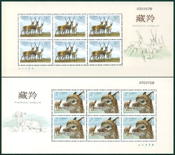 2003-12藏羚小版