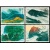 名山五岳系列大版邮票—T155衡山