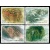 名山五岳系列大版郵票—T163恒山