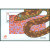 澳门邮票2001生肖蛇小全张