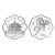 2002年壬午马年 生肖梅花形本金银套币（1/2盎司金+1盎司银）