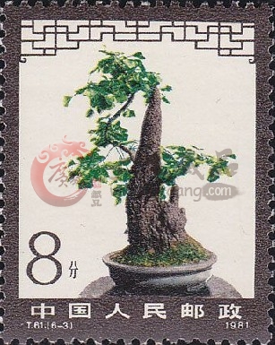 　　T61 盆景藝術(shù)大版票