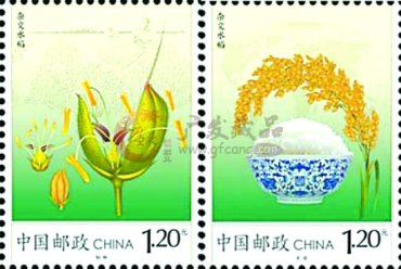 《杂交水稻》特种邮票今日发行